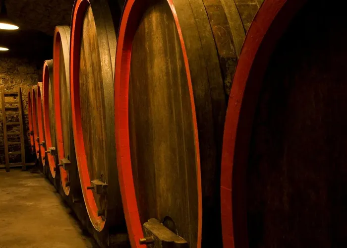 Ferienwohnung, Weingut Trockene Schmitts * 란데르자커