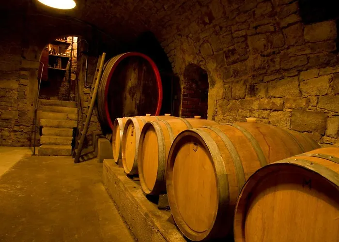 Appartamento Ferienwohnung, Weingut Trockene Schmitts